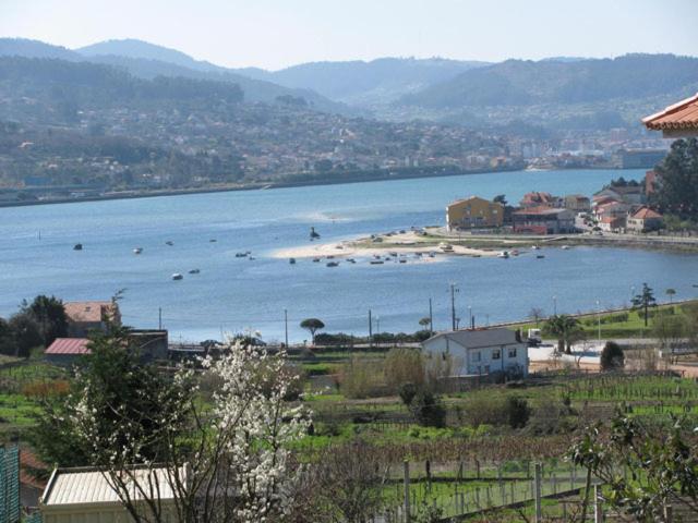 Restaurante Tulipanes *